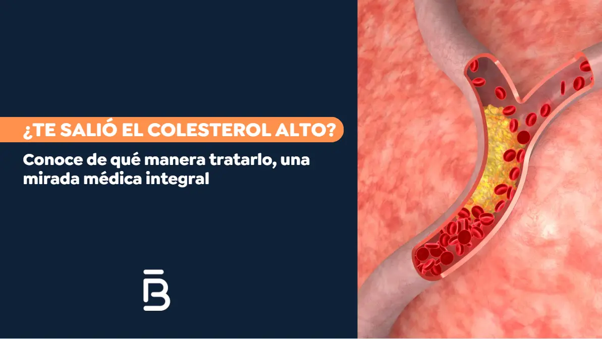 Colesterol alto cómo bajarlo-Dr. Felipe Bernal